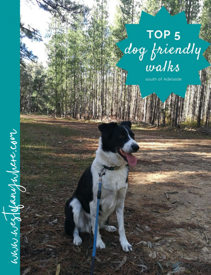 The top 5 dog friendly walks south of Adelaide