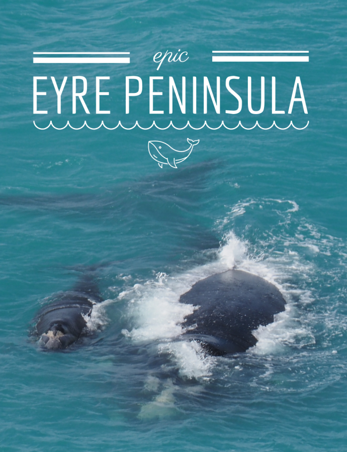 Epic Eyre Peninsula: Everything you need to see on your EP road trip!