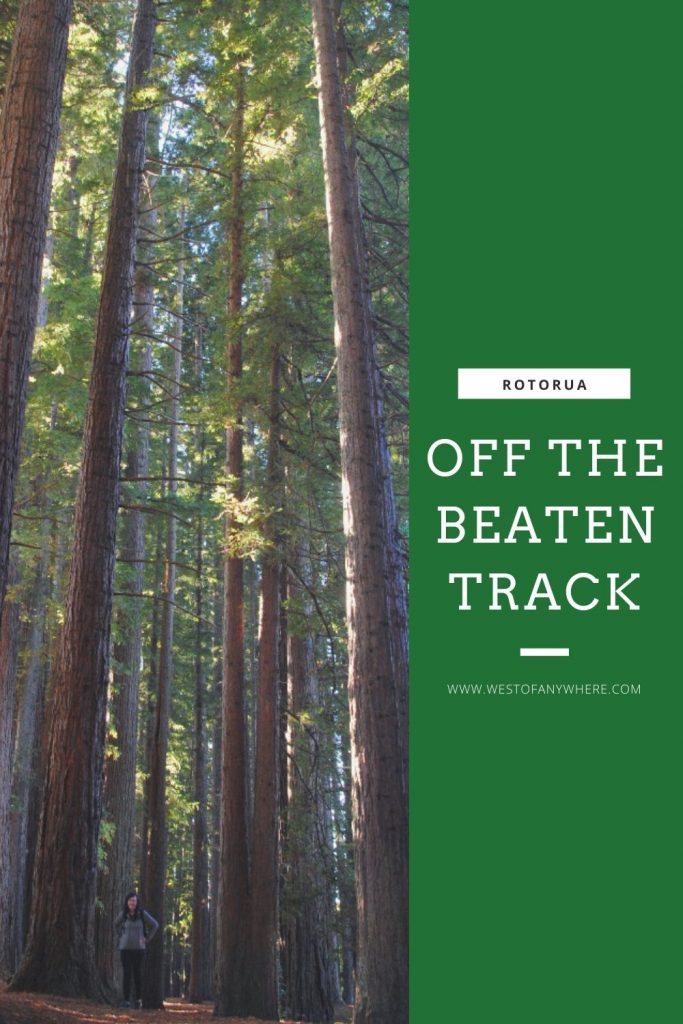 Off the beaten track Rotorua - Redwood Trees